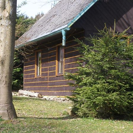 Villa Chata Dvorecna à Loučovice Extérieur photo
