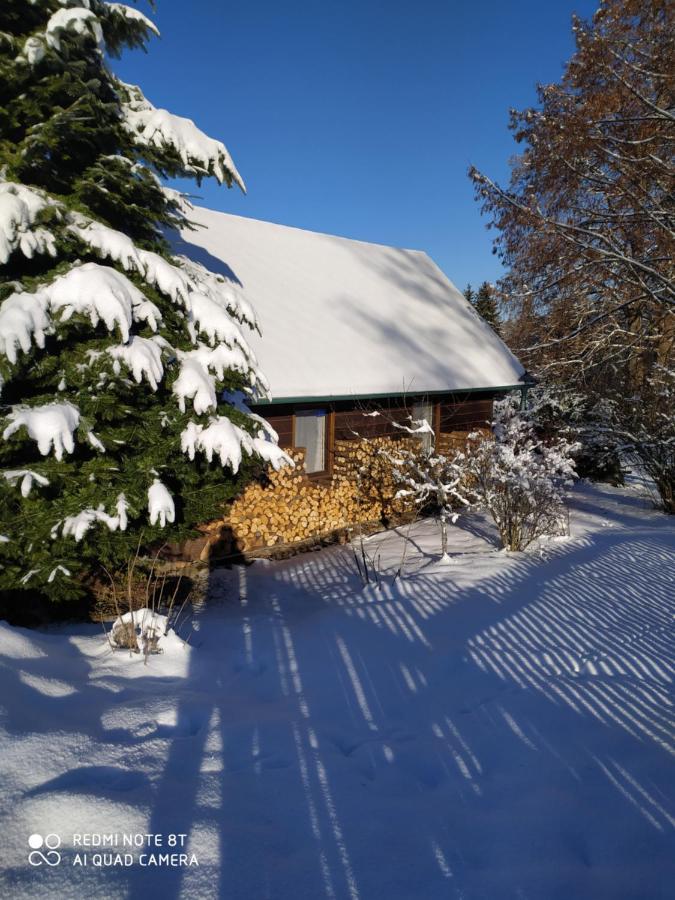 Villa Chata Dvorecna à Loučovice Extérieur photo