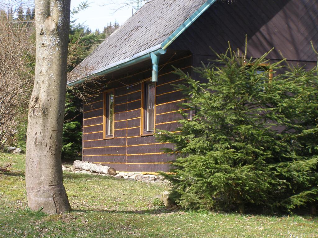 Villa Chata Dvorecna à Loučovice Extérieur photo