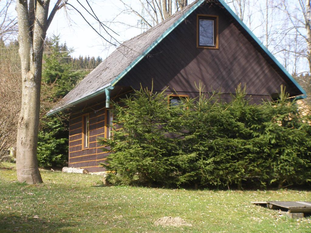 Villa Chata Dvorecna à Loučovice Extérieur photo