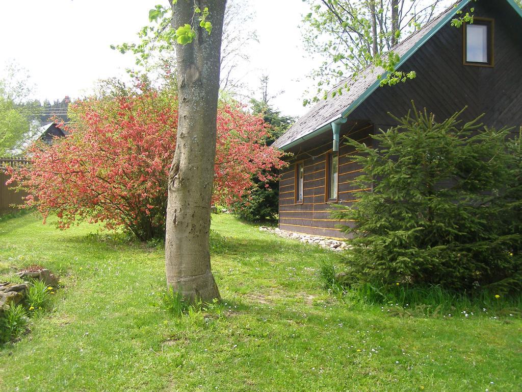 Villa Chata Dvorecna à Loučovice Extérieur photo