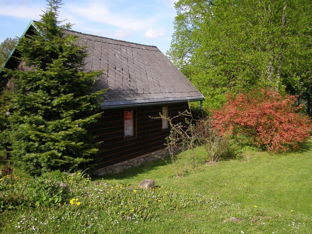 Villa Chata Dvorecna à Loučovice Extérieur photo